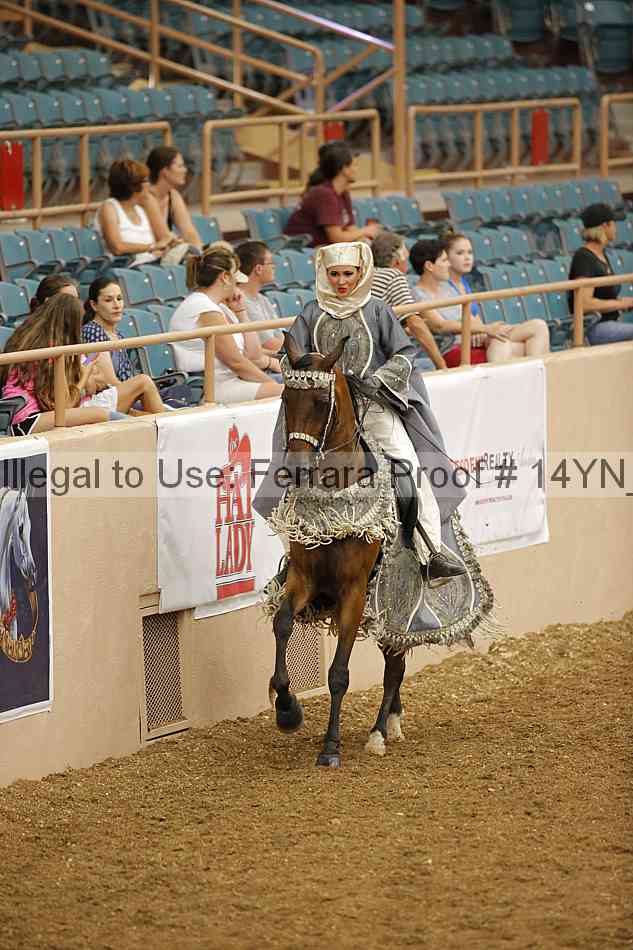Proof 14yn_09507