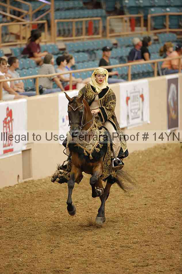 Proof 14yn_09508