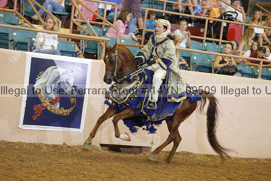 Proof 14yn_09509