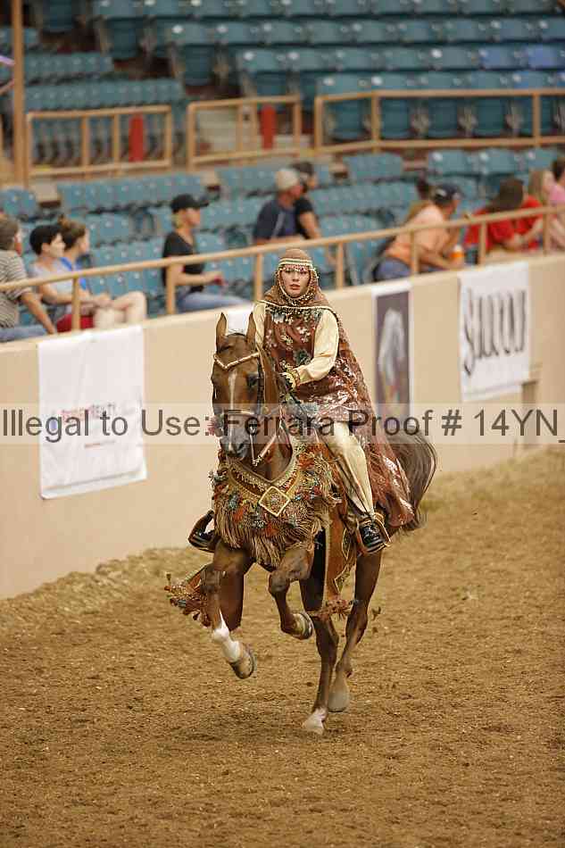 Proof 14yn_09510