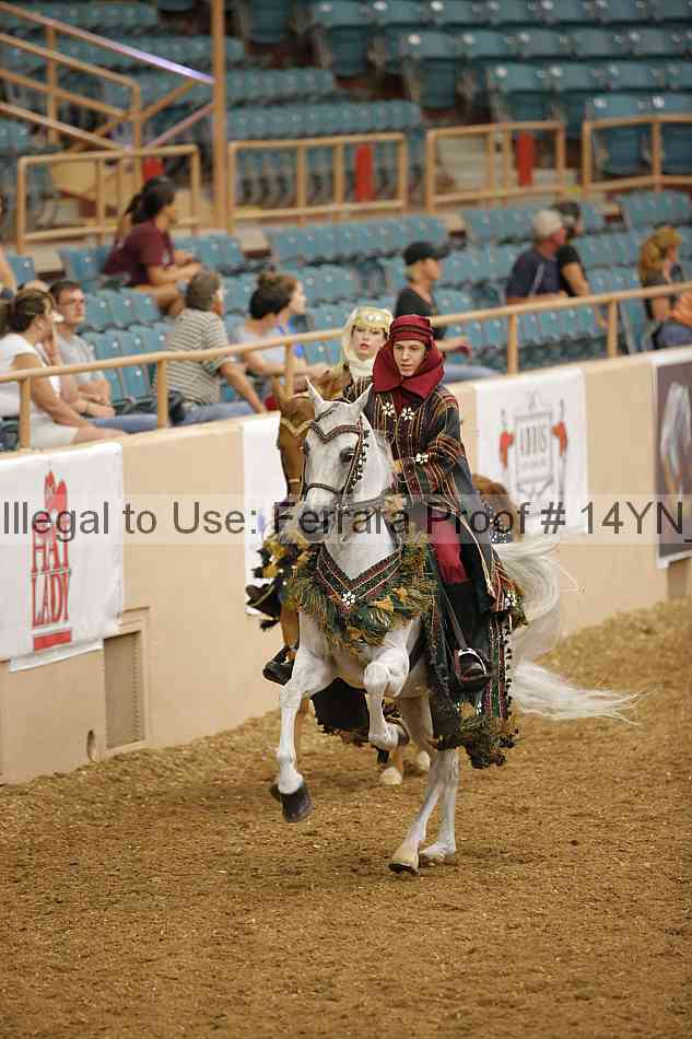 Proof 14yn_09512