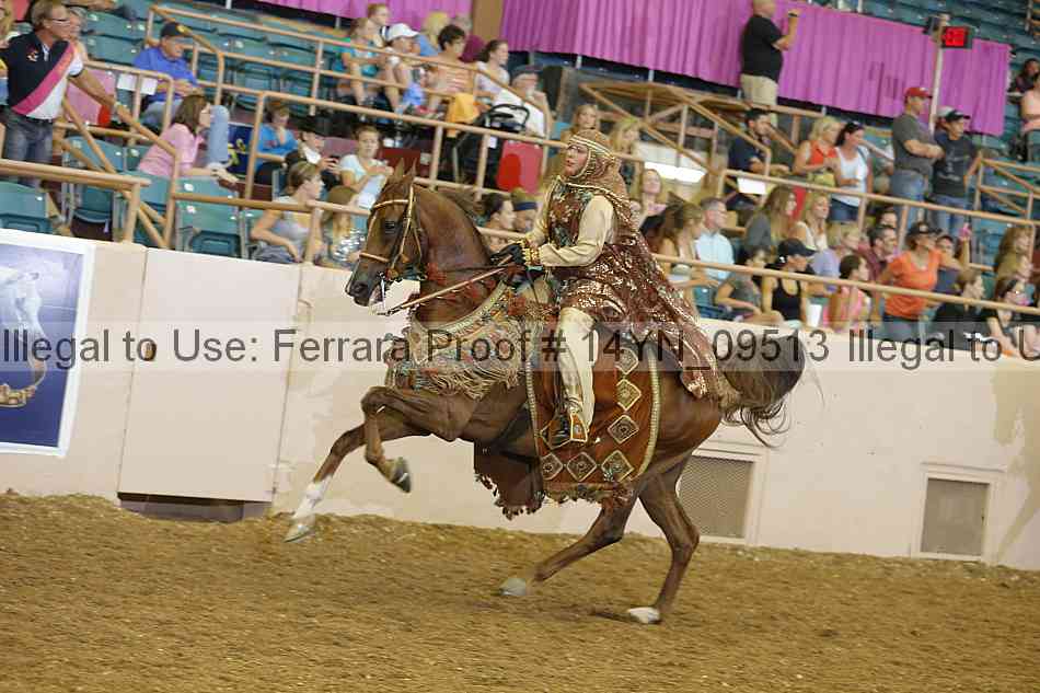 Proof 14yn_09513