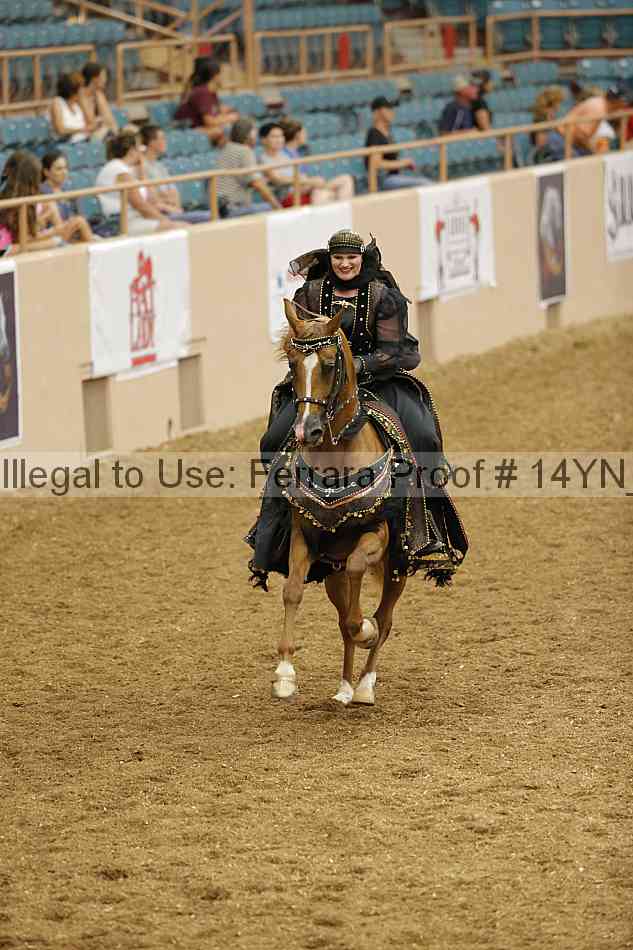 Proof 14yn_09514