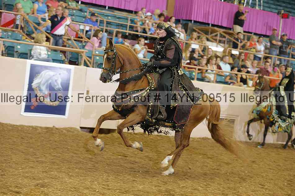 Proof 14yn_09515