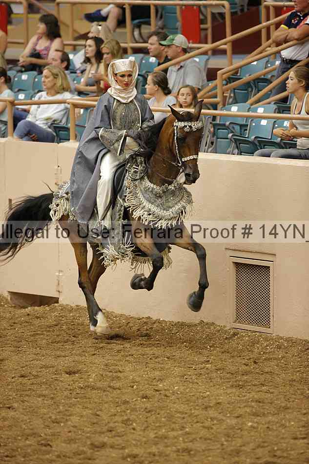 Proof 14yn_09517