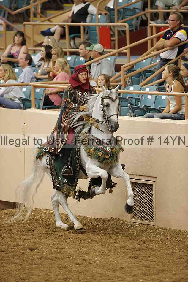 Proof 14yn_09518