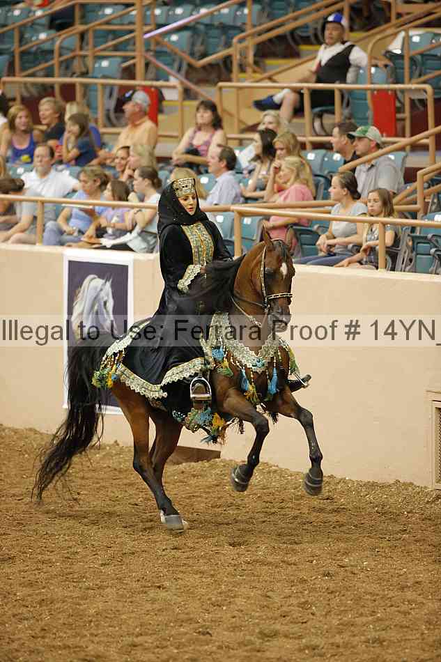 Proof 14yn_09519