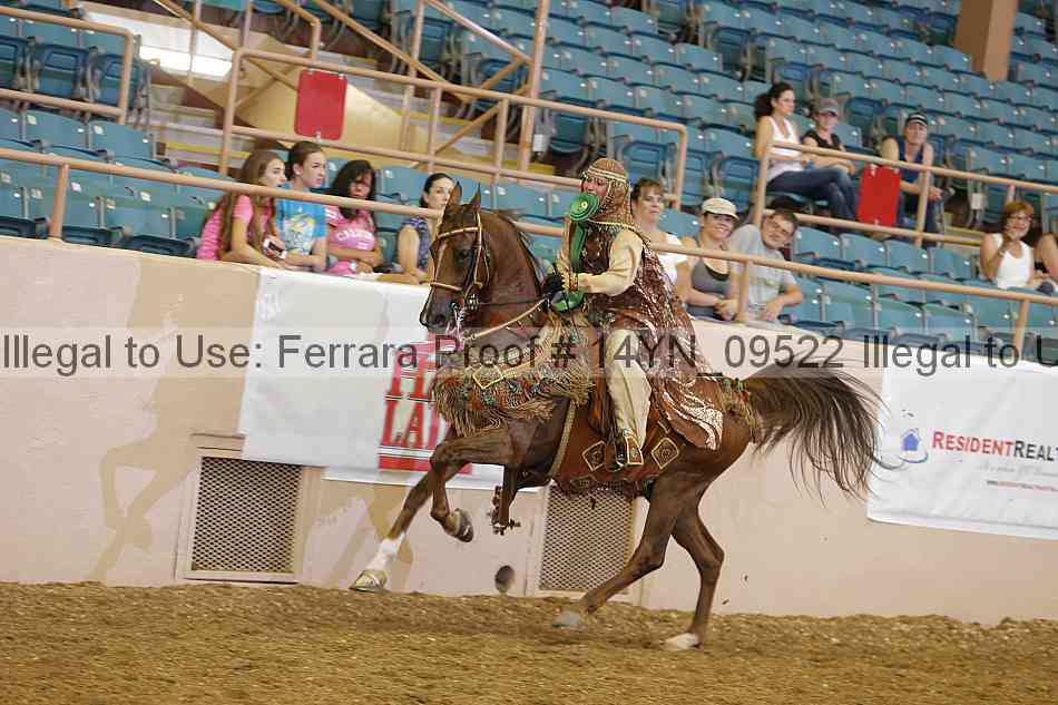 Proof 14yn_09522