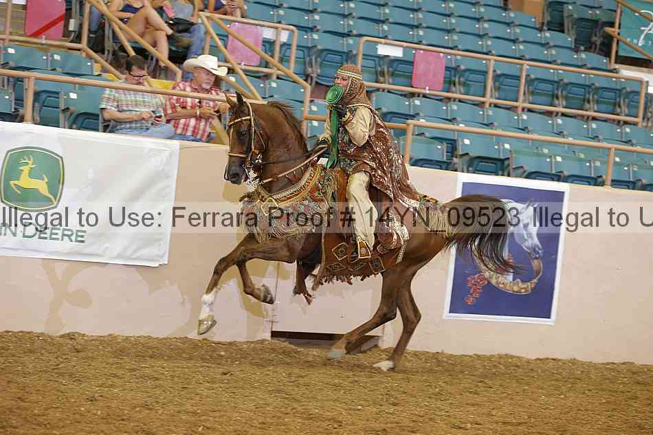 Proof 14yn_09523