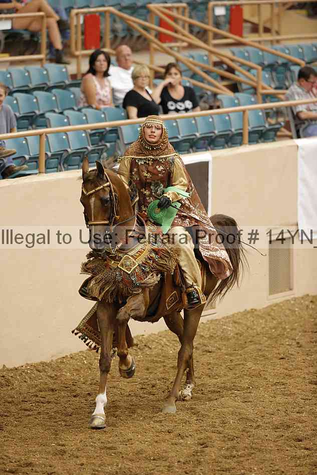 Proof 14yn_09524