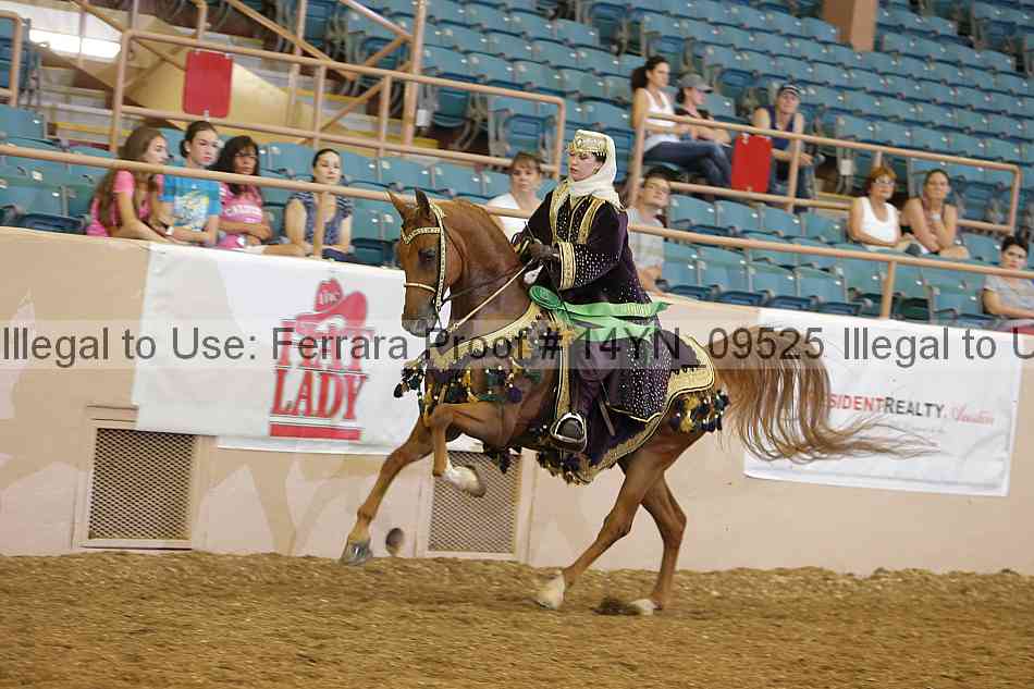 Proof 14yn_09525