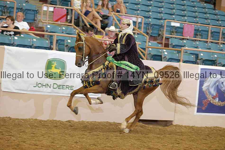 Proof 14yn_09526