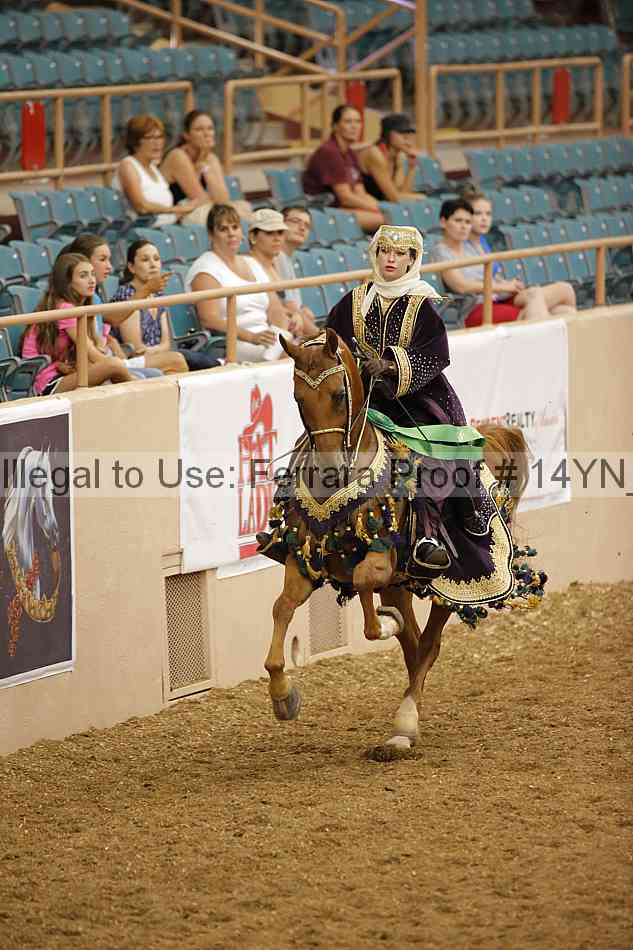 Proof 14yn_09527