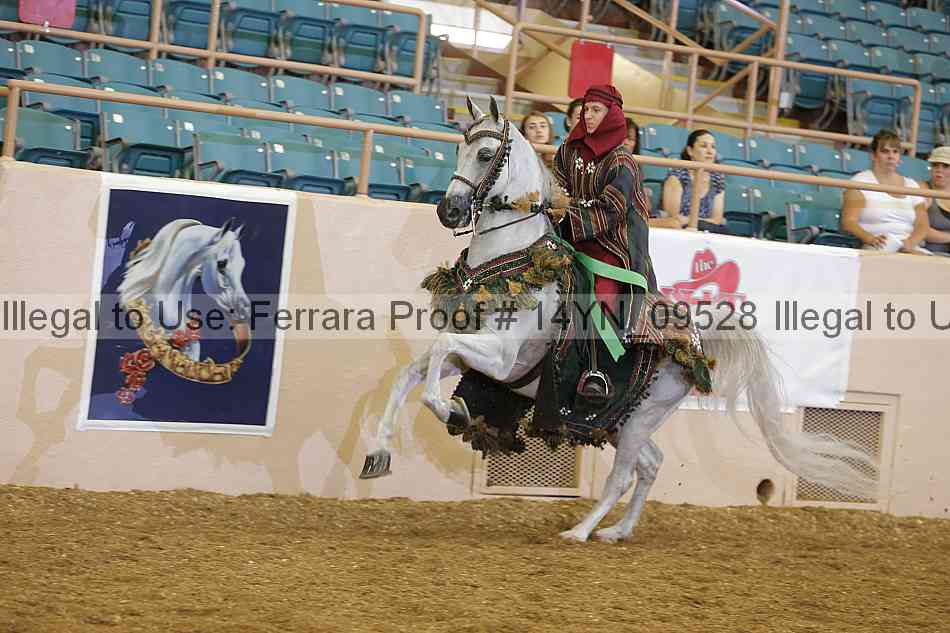 Proof 14yn_09528