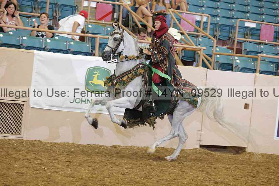 Proof 14yn_09529
