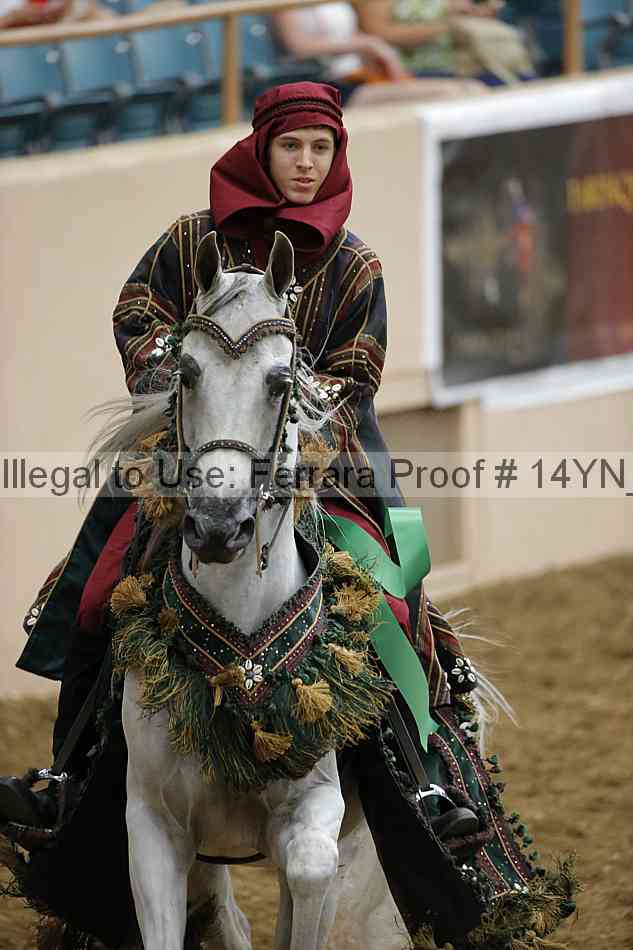 Proof 14yn_09530