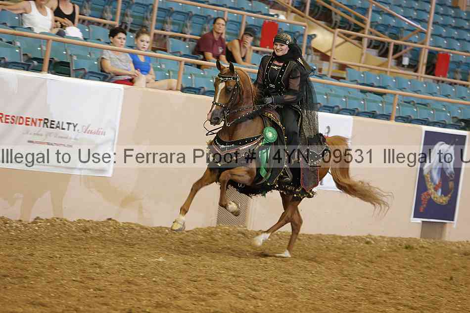 Proof 14yn_09531