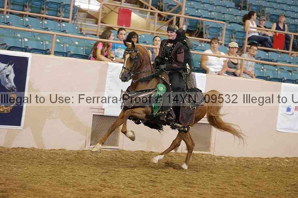 Proof 14yn_09532