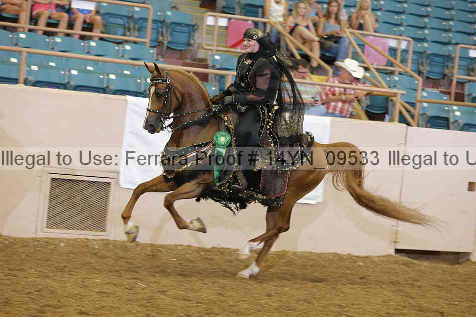 Proof 14yn_09533