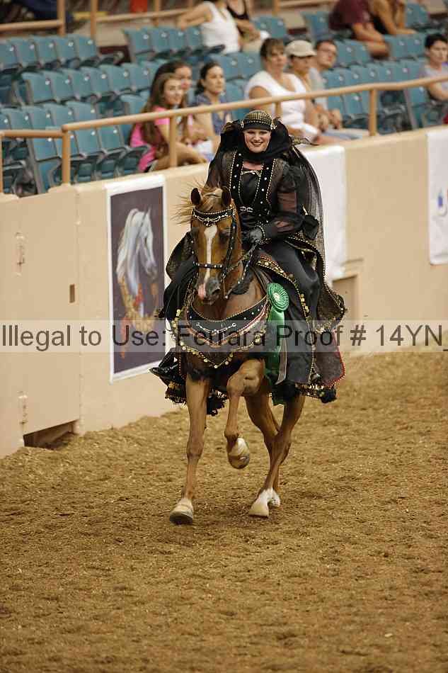 Proof 14yn_09534
