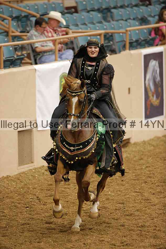Proof 14yn_09535