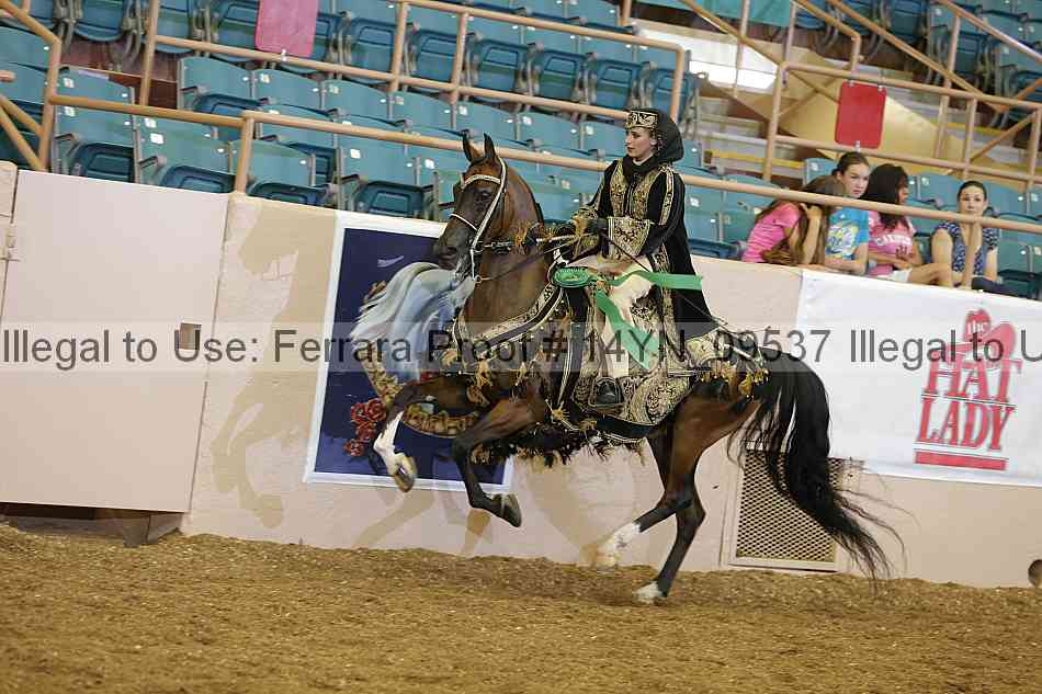 Proof 14yn_09537
