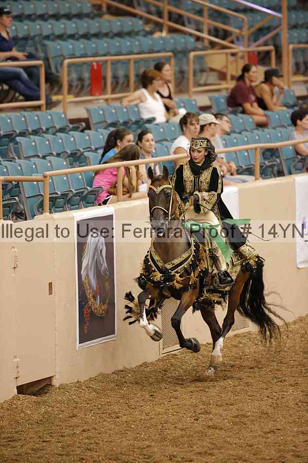 Proof 14yn_09538