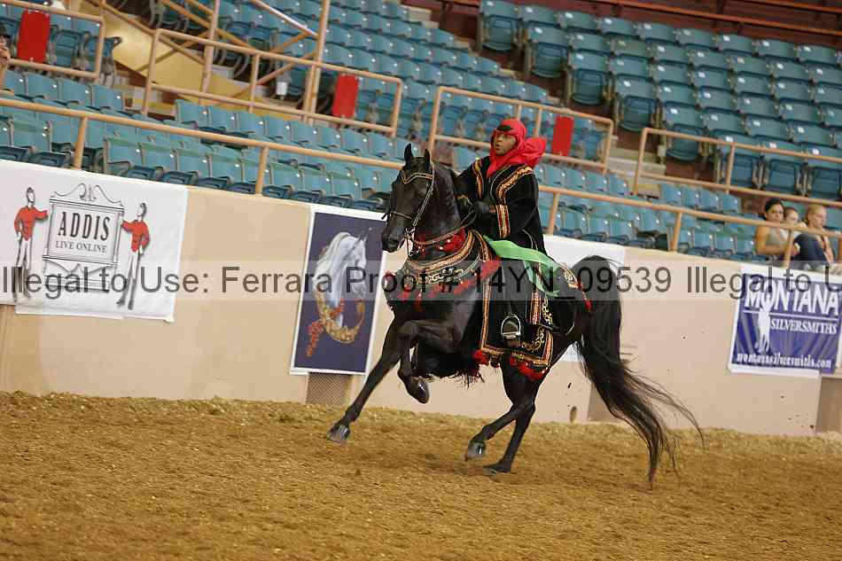 Proof 14yn_09539