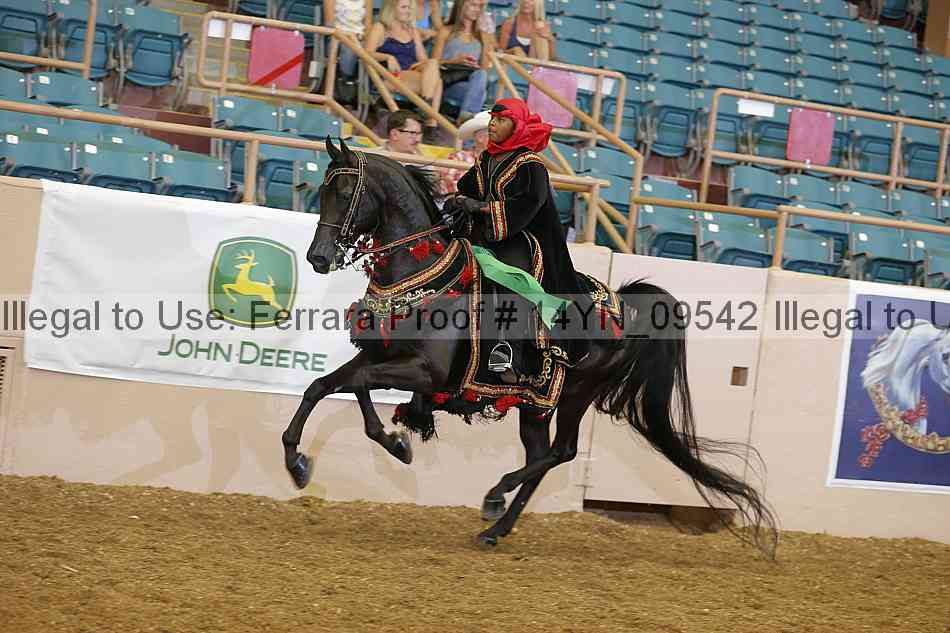Proof 14yn_09542