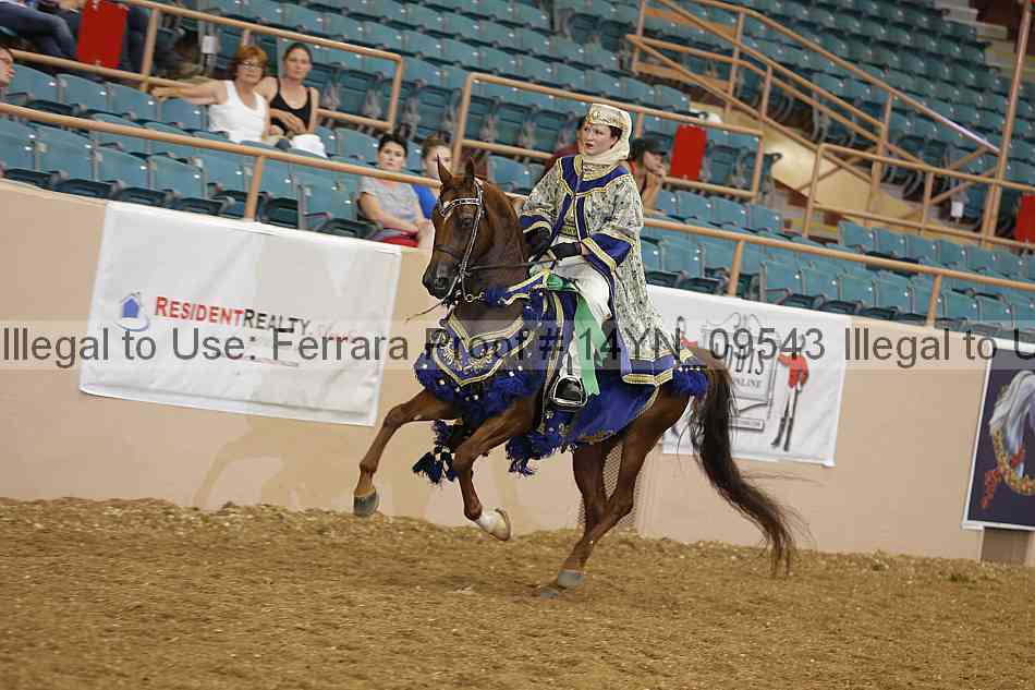 Proof 14yn_09543