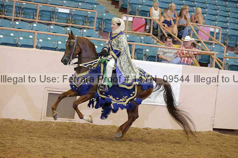 Proof 14yn_09544