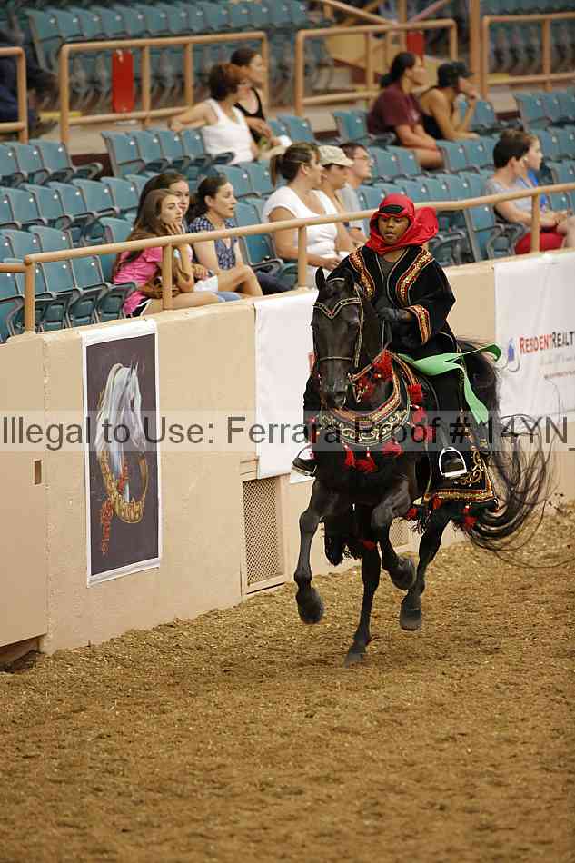 Proof 14yn_09545