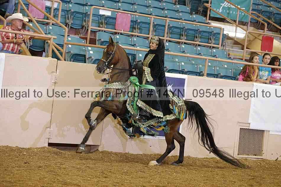 Proof 14yn_09548