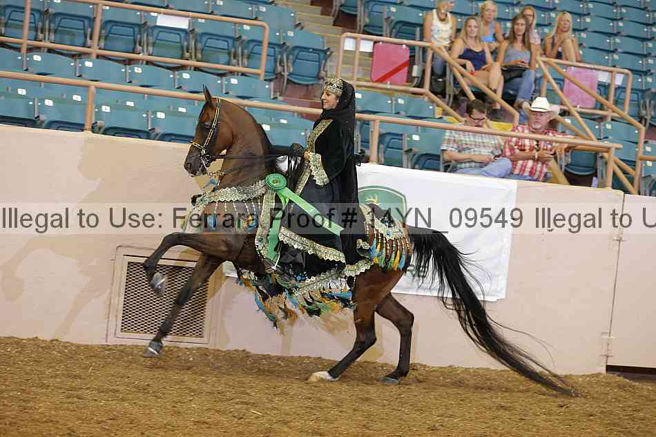 Proof 14yn_09549