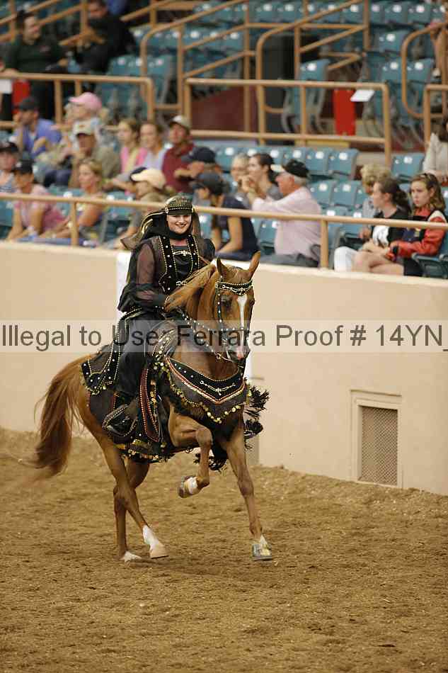 Proof 14yn_13506