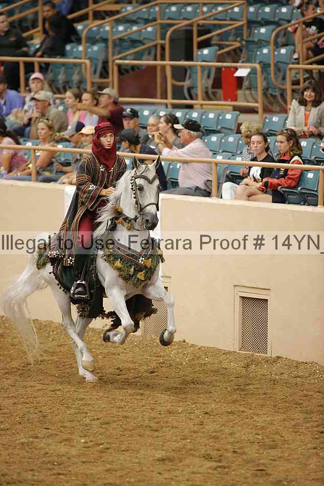 Proof 14yn_13507