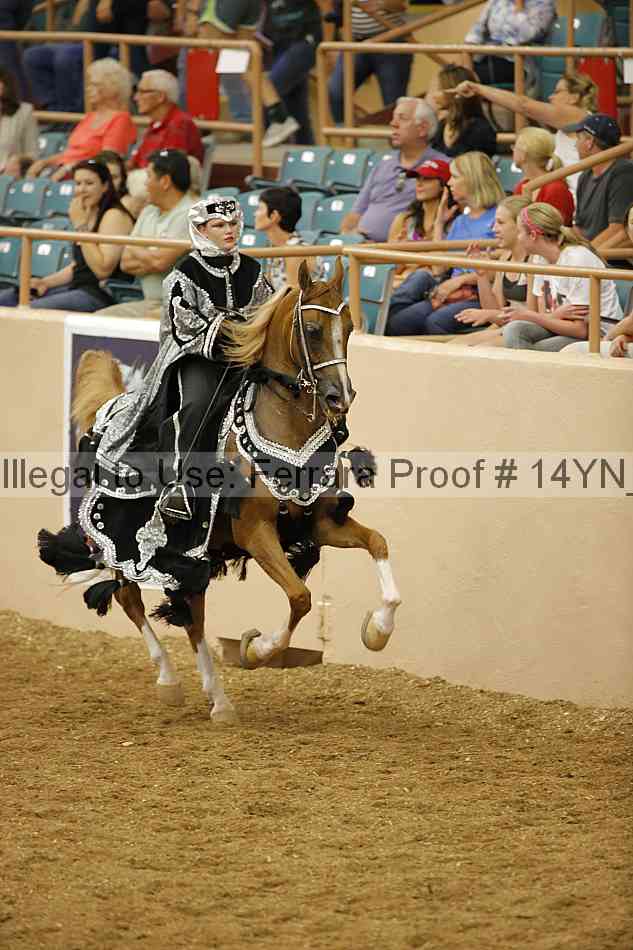 Proof 14yn_13605