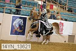 14yn_13621 proof