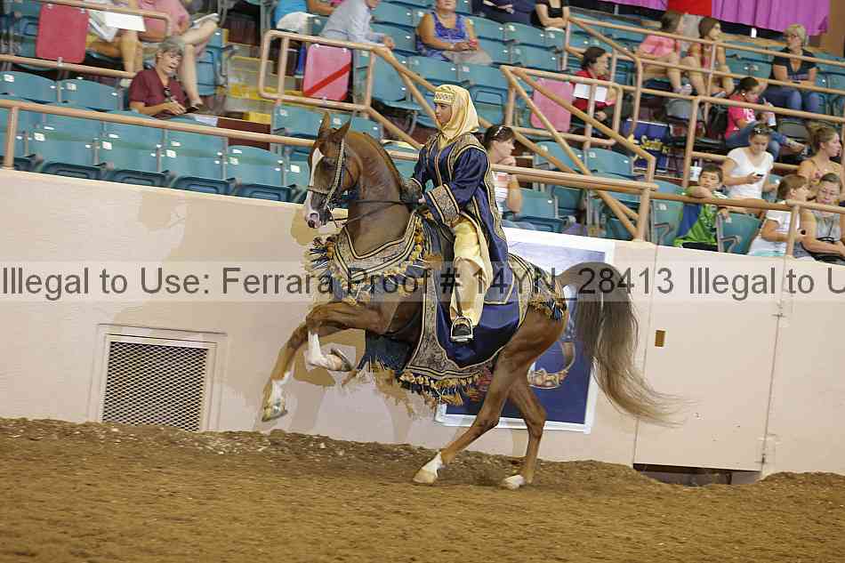 Proof 14yn_28413