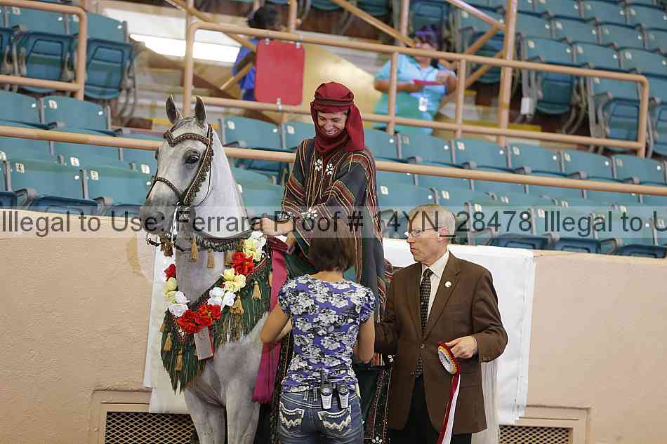 Proof 14yn_28478