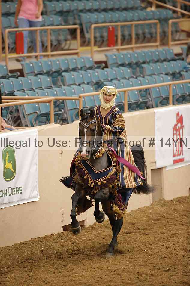 Proof 14yn_28531