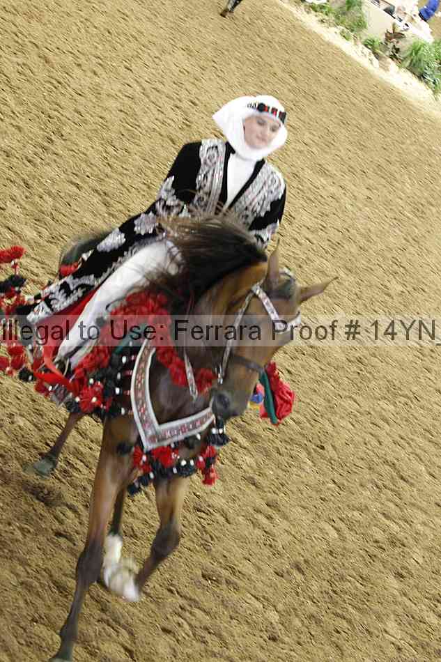 Proof 14yn_28571