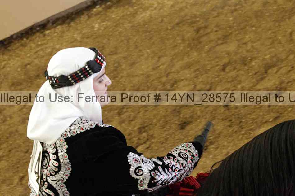 Proof 14yn_28575