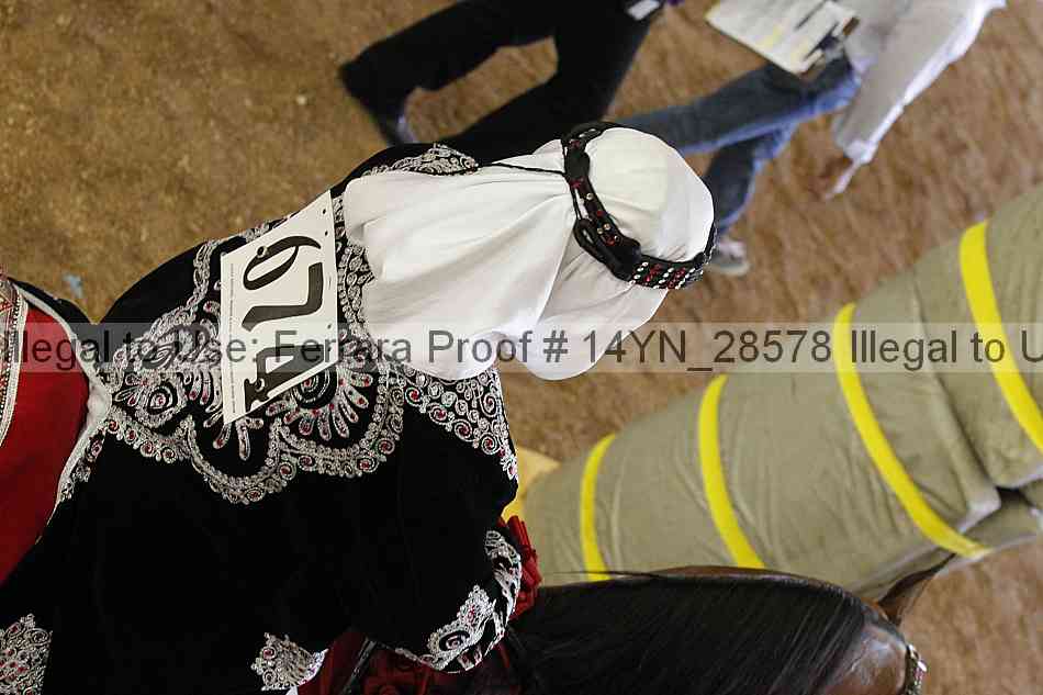 Proof 14yn_28578