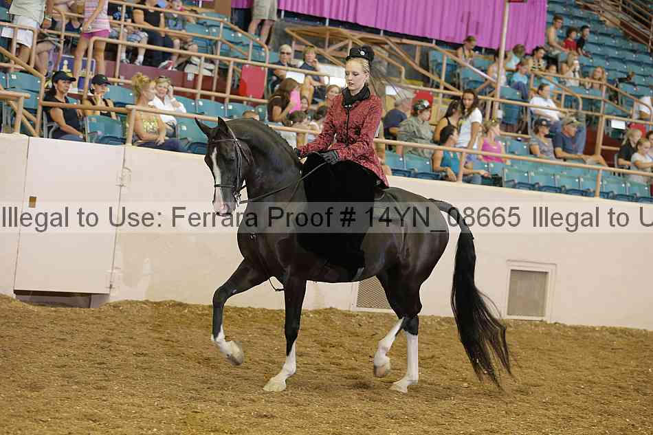 Proof 14yn_08665