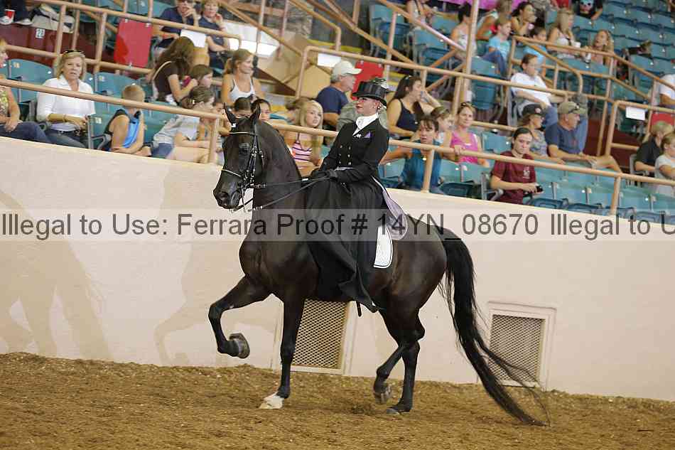 Proof 14yn_08670