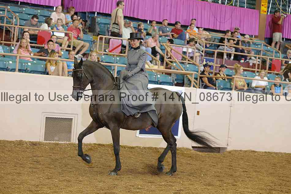Proof 14yn_08673