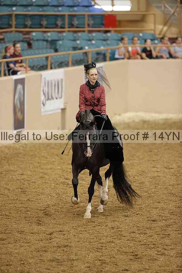 Proof 14yn_08674