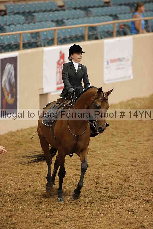 Proof 14yn_08675