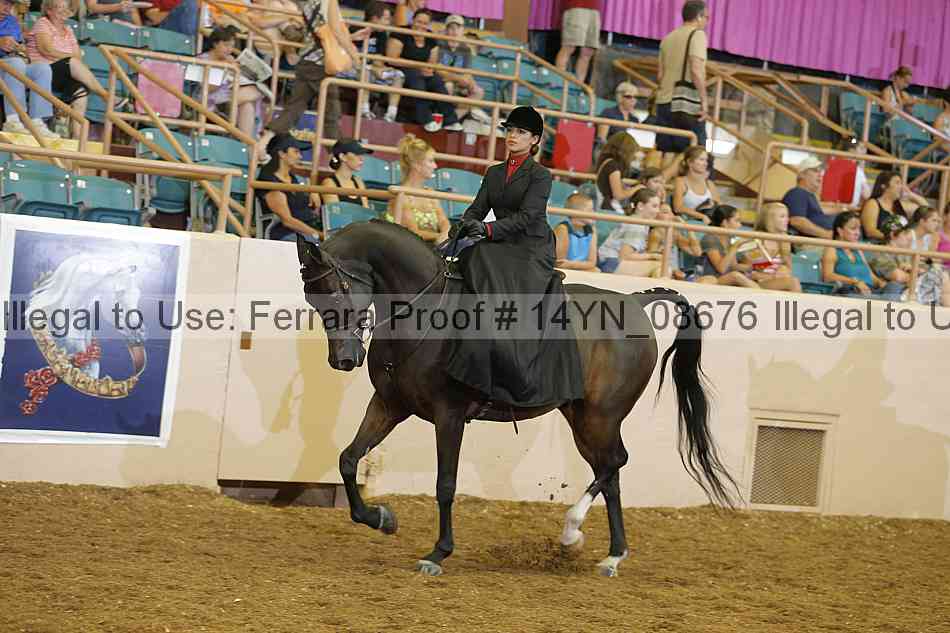 Proof 14yn_08676